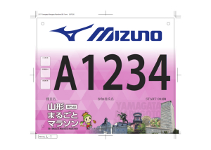 2017_Yamagatamarugoto_Mizuno